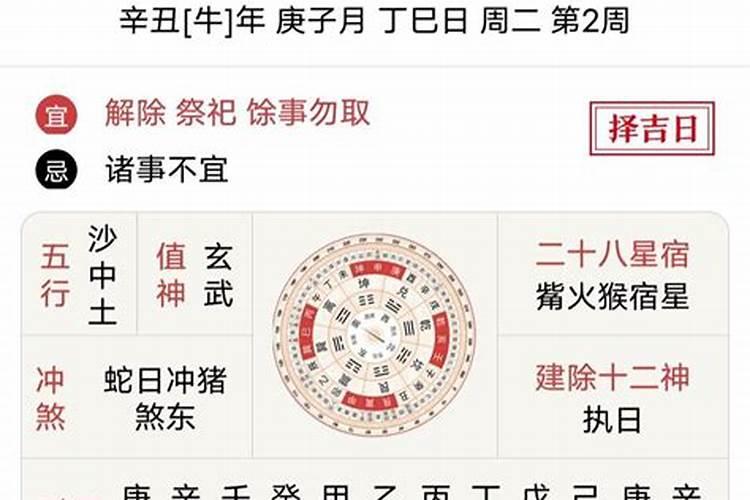 1970农历8月25号丁未时运程