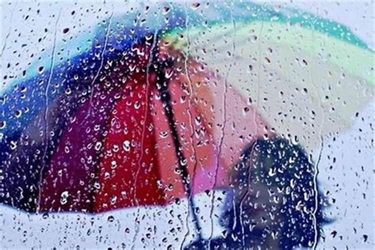 梦见大雨中奔跑回家