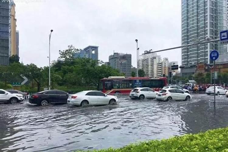 梦见前妻出轨的预兆