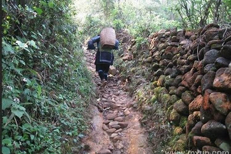 梦见骑车路难行的预兆