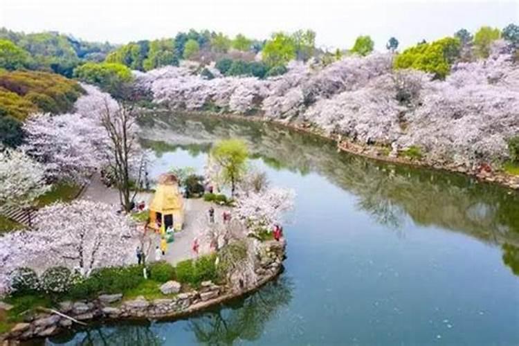 长沙十大适合清明节旅游的地方