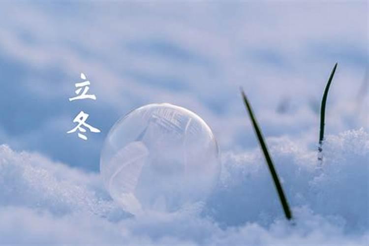 男1977年公历11月25日卯五行属 运气 求大师指点