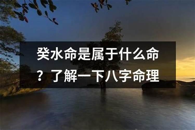 属鸡人2025全年运势 属鸡人2025年每月运势