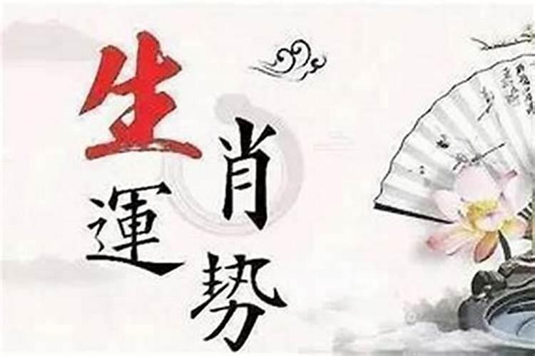 生肖羊2025年运势 属羊2025年运势及运程