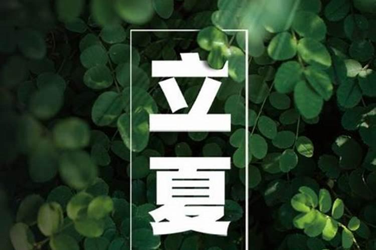 九三年属鸡的人运势如何？贵人会是谁？
