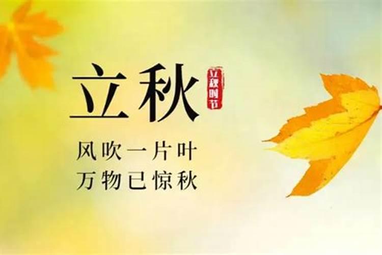 立秋养脾胃吃什么 推荐养脾胃的六种食物