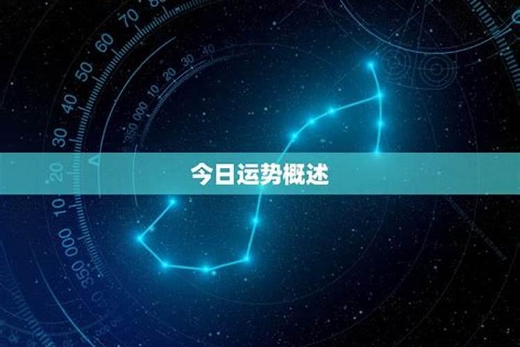 冬至秋逝的句子 冬至秋逝的经典句子