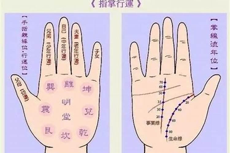 什么是财运线 手相财运线在哪里
