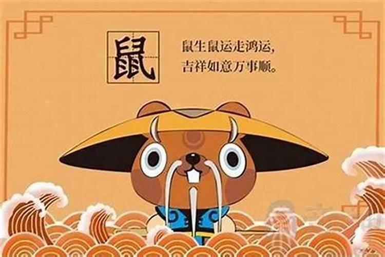 农历1月出生属鼠人命好吗