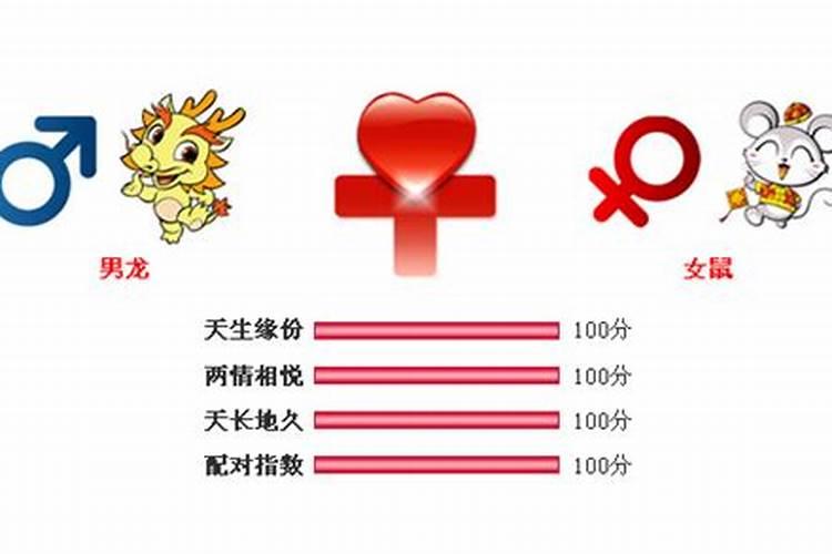 1988年的男龙和1972年的女鼠能合婚吗