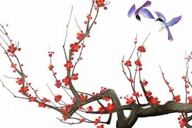 日支暗合是自己还是配偶 八字合多的女命好不好？