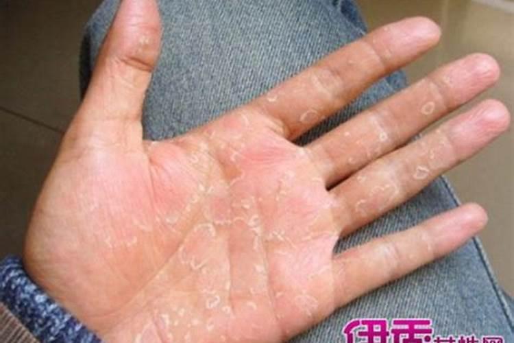 五脏问题靠看相,通过手相看心脏问题