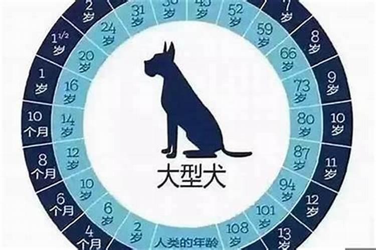 2025年狗人感情婚姻