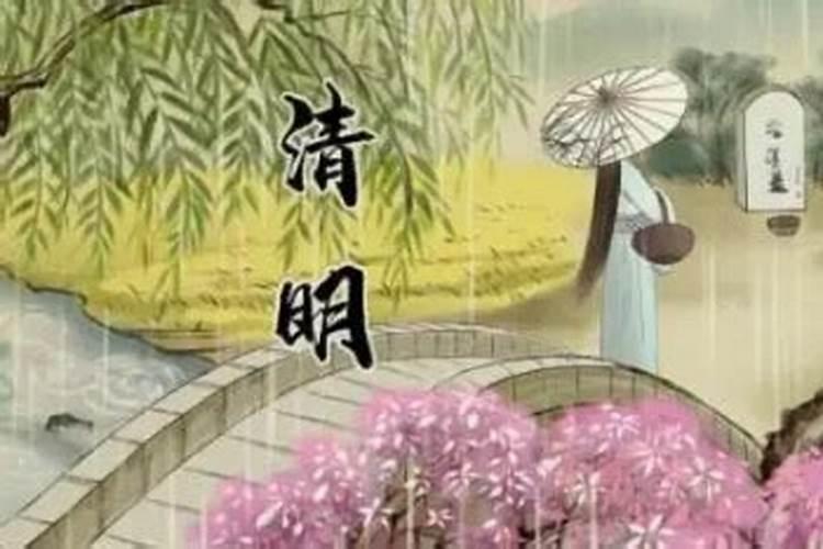 2025属猪人每月运势及运程如何