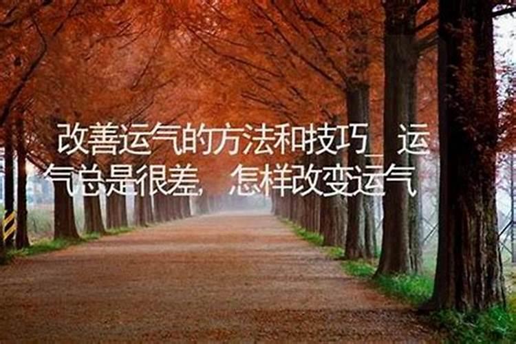 改运气最快的方法(八种改变自己运势风水)