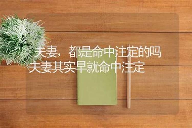 农历三月十五出生的人命运如何好不好