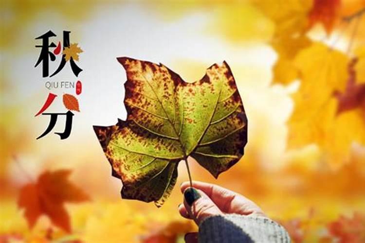 查一下今年运气如何
