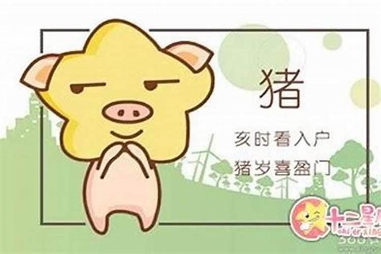 女猪配什么属相蕞好婚姻