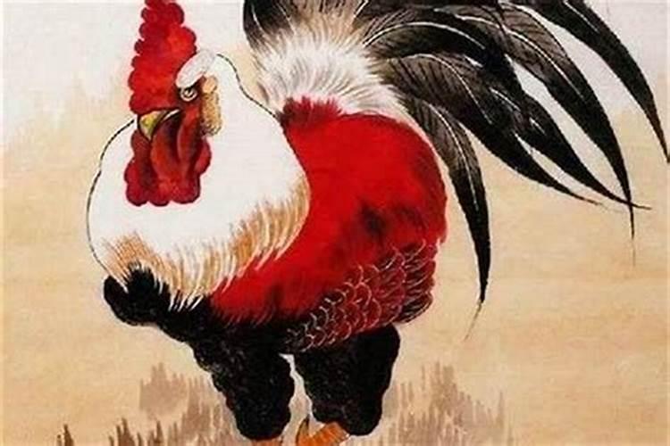2025属鸡人的全年运势及运程如何