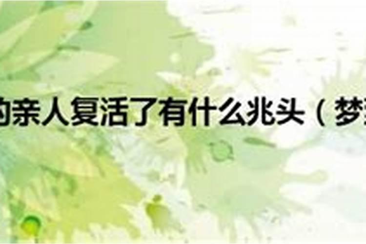 梦见和同学在学校的预兆