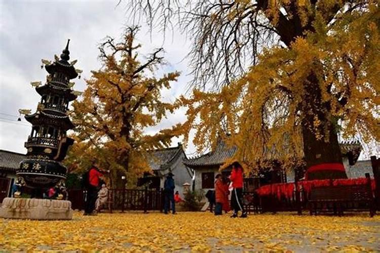 身上佩戴小铜葫芦身上佩戴小铜葫芦有什么禁忌