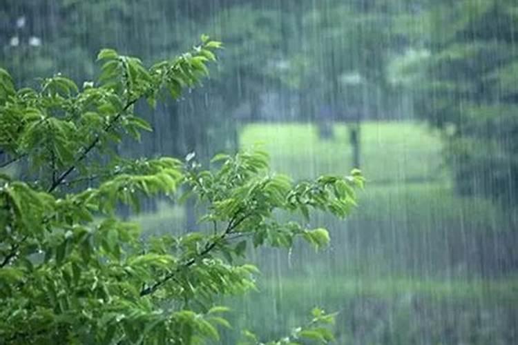 孕妇梦见下大雨发大水什么意思