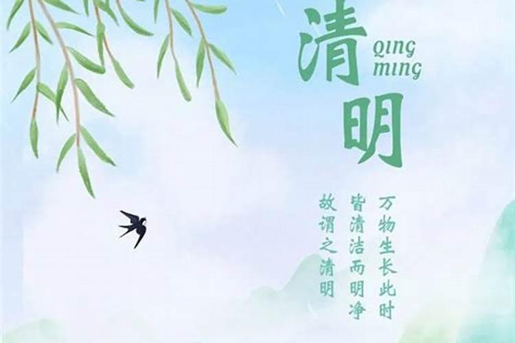 清明节后好运连连的生肖有哪些
