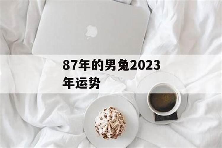 87年兔2025年运势及运程每月运程