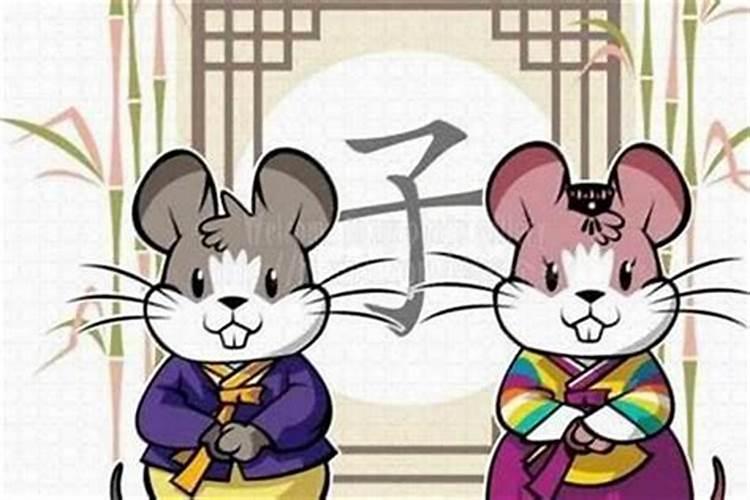属鼠的人适合找什么属相