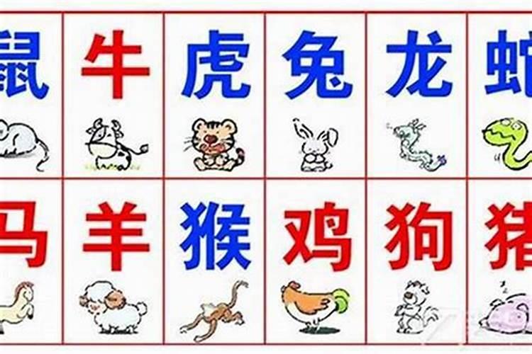 生肖相合但是八字不合,八字不合,生肖相冲不能在一起吗