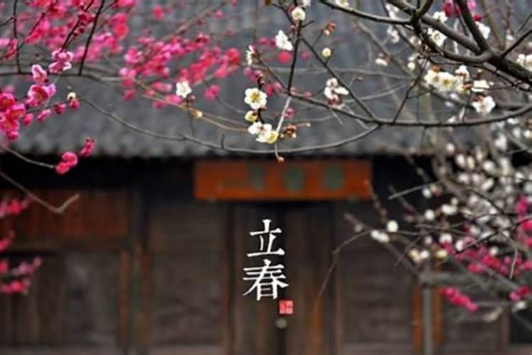 苗族的风俗 苗族的风俗习惯简介