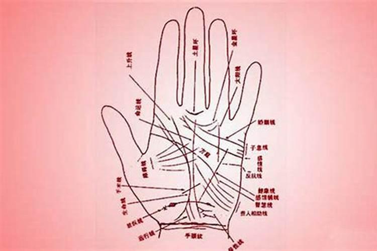 女人40岁以后看手相看哪个手 左右手的含义