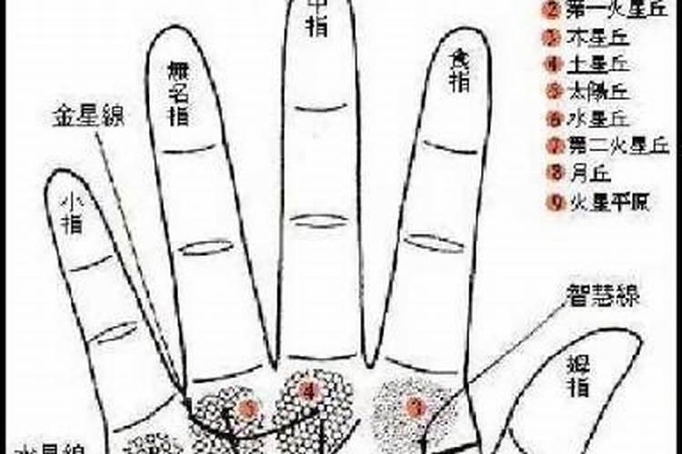 左右手哪个是命哪个是运