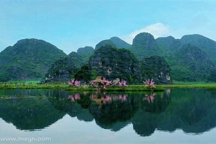 梦见黄色巨浪的预兆