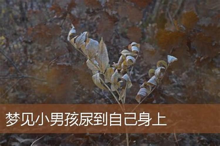 梦见小男孩撒尿