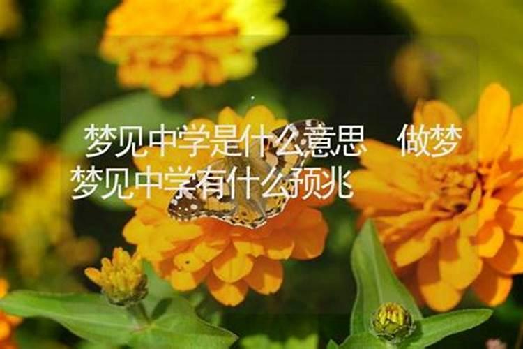 梦见上初中是什么意思