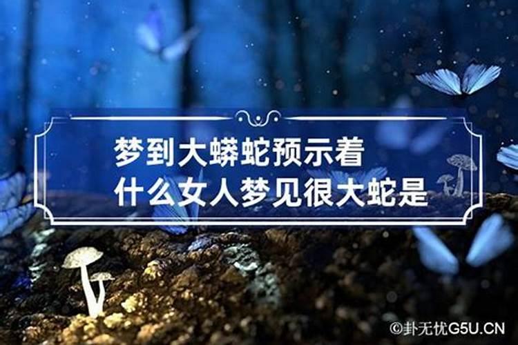 梦见被大蟒蛇咬是什么预兆 女性