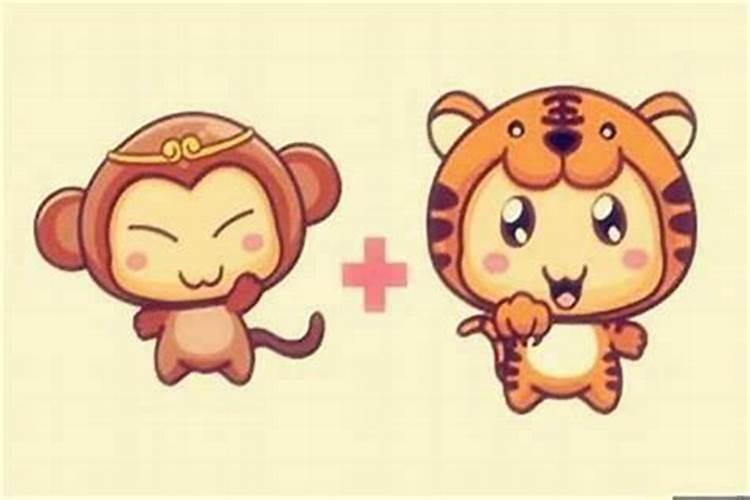 男虎和女猴其实非常配,为什么说男虎女猴不能在一起