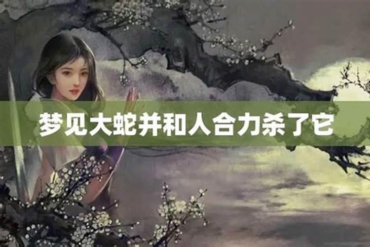 梦见杀大蛇是什么意思？