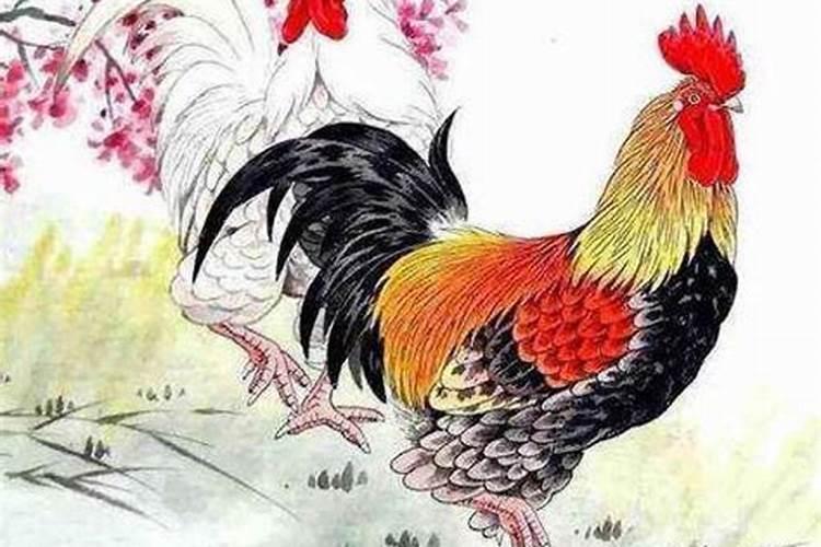 4月属鸡人命运如何