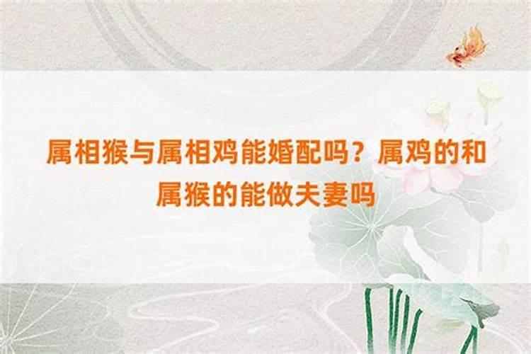 1971年属猪是什么命 1971年出生人的命运