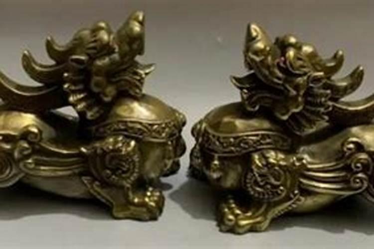 本命年兔年家里摆什么绿植 本命年兔年家里摆哪些绿植