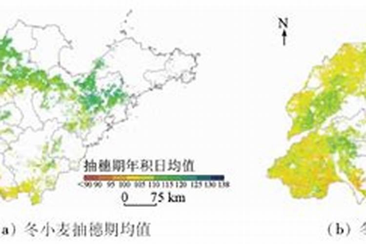 1943年属羊的是什么命
