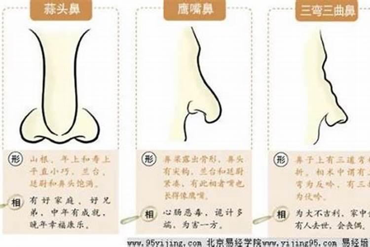 小鼻子的女人面相特征命好不好