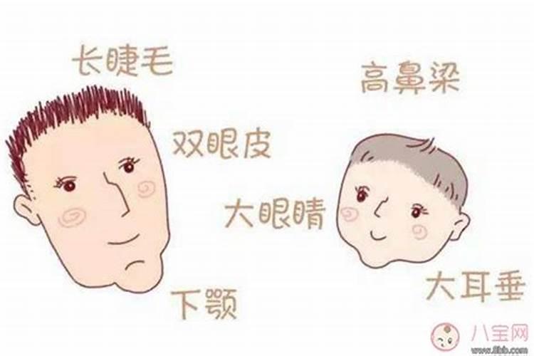 脸大鼻小的人感情之路是否坎坷