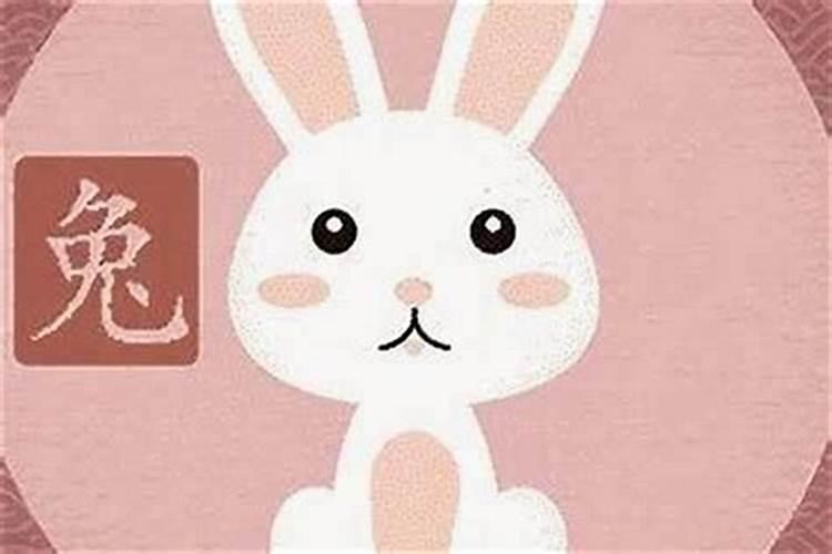 女属兔和男属猪的合不合合婚