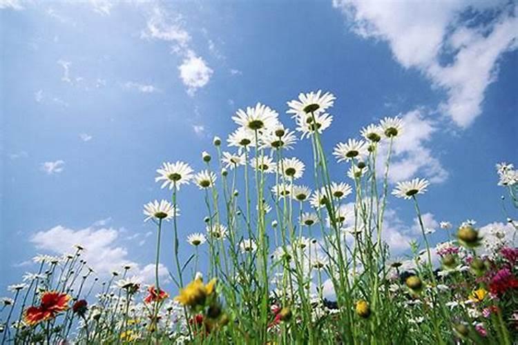 马年腊月生的宝宝起名王玉总五行缺什么  百度宝宝知道