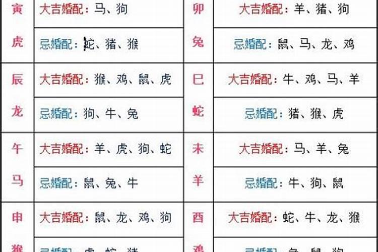 十二生肖最佳配对表格男女属相婚配表(大全)