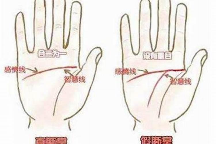 男孩,双手断掌,耳朵有拴马桩,七月十五出生,这样的孩子好吗？百度知 ...