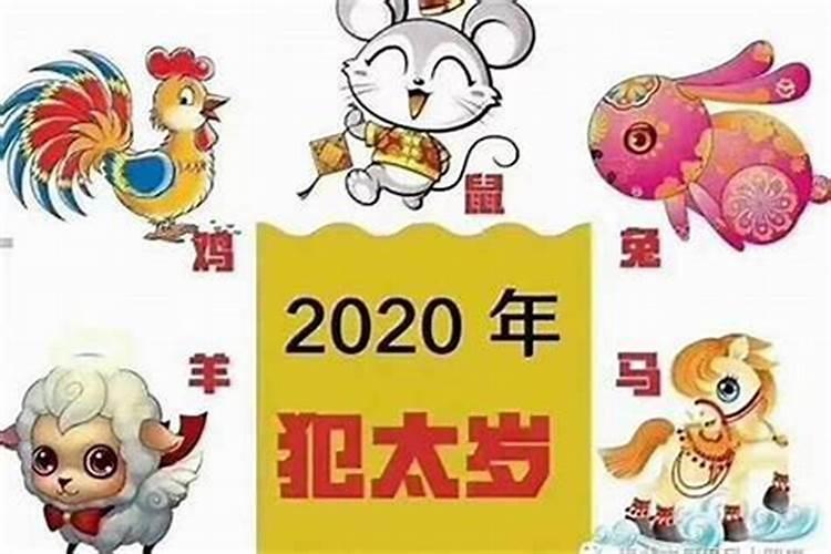 那个软件算命准又免费